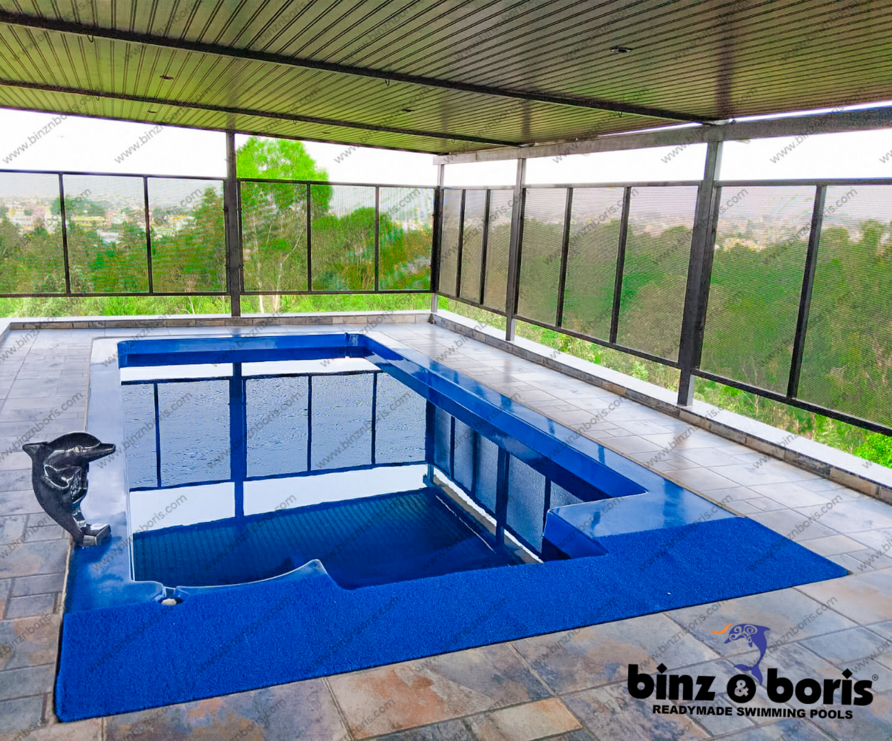Swimming Pool designer